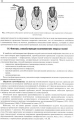 Гнойно-воспалительные заболевания головы и шеи. Этиология, патогенез, клиника, лечение - Фото 7