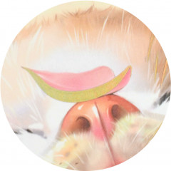 Анкета для друзей «Цветочный кот» - Фото 12