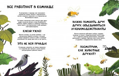 Вместе лучше! Командная работа в мире животных - Фото 2