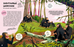 Вместе лучше! Командная работа в мире животных - Фото 3