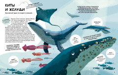 Вместе лучше! Командная работа в мире животных - Фото 4