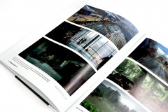 Мир игры: The Last Of Us Part II - Фото 8