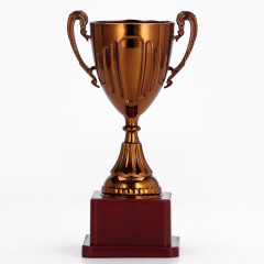 Кубок - Фото 2