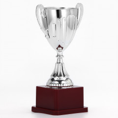 Кубок - Фото 1