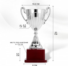 Кубок - Фото 3