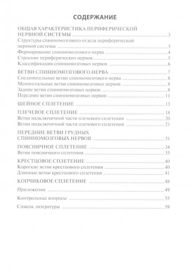 Функциональная анатомия спинномозговых нервов