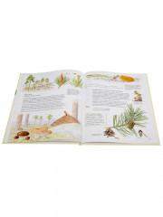 Софи в мире деревьев. Софи в мире цветов. Комплект из 2 книг - Фото 2
