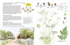 Софи в мире деревьев. Софи в мире цветов. Комплект из 2 книг - Фото 11