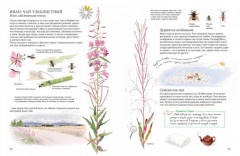 Софи в мире деревьев. Софи в мире цветов. Комплект из 2 книг - Фото 12