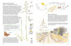 Софи в мире деревьев. Софи в мире цветов. Комплект из 2 книг - Фото 13