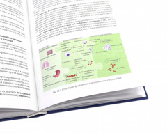 Патофизиология. Клиническая патофизиология. В 2 томах. Комплект из 2 книг - Фото 12