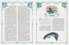 Русская рыбалка - Фото 3