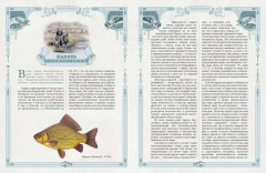 Русская рыбалка - Фото 5