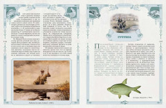 Русская рыбалка - Фото 8