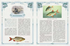 Русская рыбалка - Фото 9