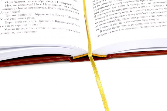 Театральный роман. Под пятой. Комплект из 2 книг