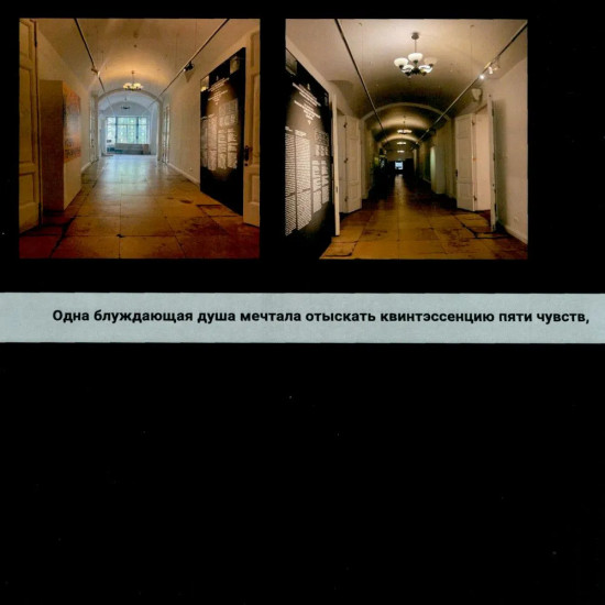 Квинтэссенция пяти чувств