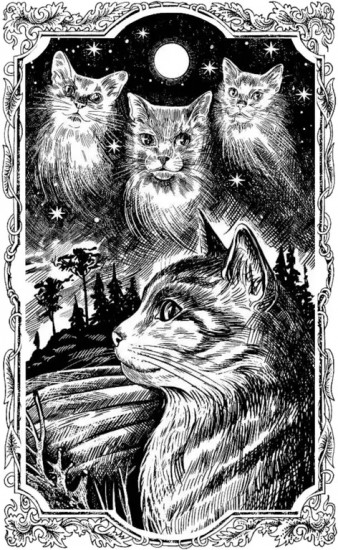 Коты-воители. Тень Когтегрива. Книга 2. Возвращение
