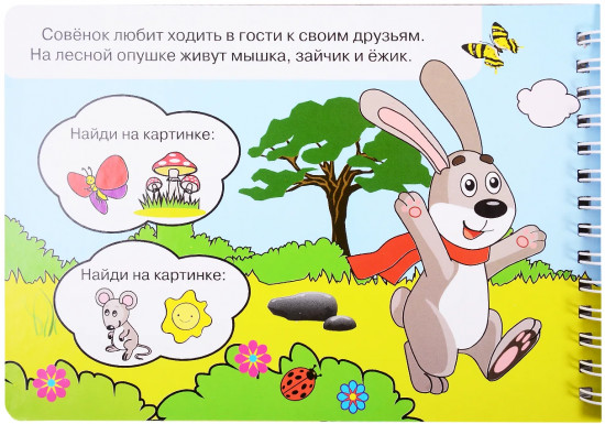Волшебная книжка-раскраска «Лесные животные». Многразовая расскраска. Рисуем водой