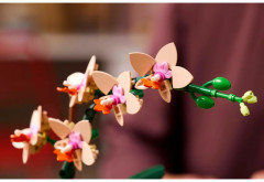 Конструктор Botanicals 10343 Мини-орхидея. Miniaturní orchidej - Фото 4