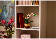 Конструктор Botanicals 10343 Мини-орхидея. Miniaturní orchidej - Фото 6