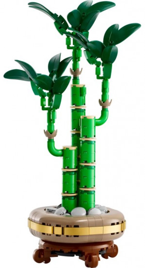 Конструктор LEGO® 10344 Бамбук удачи
