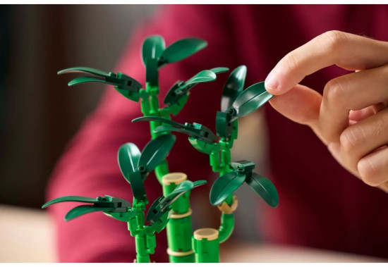 Конструктор LEGO® 10344 Бамбук удачи