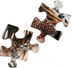 Пазл «Юрский парк динозавров» - Фото 3