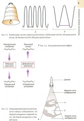 Руководство по электрокардиографии. ЭхоКГ понятным языком. Комплект из 2 книг - Фото 10