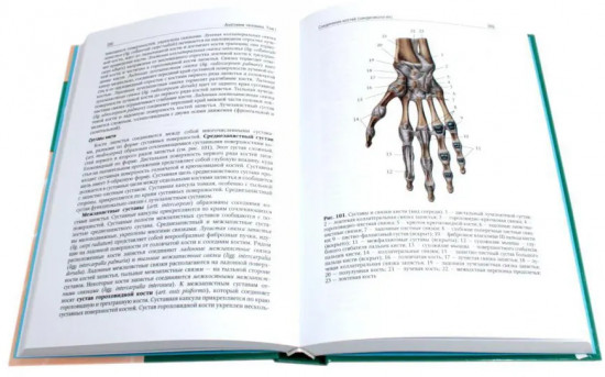 Анатомия человека. Учебник. В 2 томах. Комплект из 2 книг