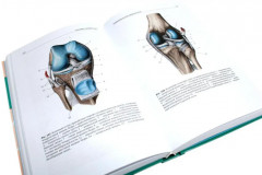 Анатомия человека. Учебник. В 2 томах. Комплект из 2 книг - Фото 4