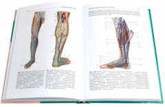 Анатомия человека. Учебник. В 2 томах. Комплект из 2 книг - Фото 8