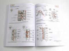 Путеводитель по телу. Клинический атлас триггерных точек. Практическое руководство по пальпации тела. Комплект из 2 книг - Фото 2