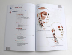 Путеводитель по телу. Клинический атлас триггерных точек. Практическое руководство по пальпации тела. Комплект из 2 книг - Фото 5
