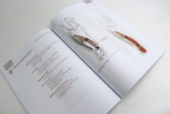 Путеводитель по телу. Клинический атлас триггерных точек. Практическое руководство по пальпации тела. Комплект из 2 книг - Фото 6