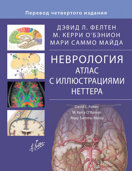 Неврология. Атлас с иллюстрациями Неттера. Атлас-раскраска с рисунками Неттера. Комплект из 2 книг