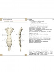 Визуальная анатомия человека. Остеология. Артросиндесмология. Комплект из 2 наборов карточек - Фото 4