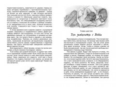 Приключения Тома Сойера - Фото 6