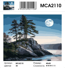 Картина по номерам «Лунная ночь» - Фото 1