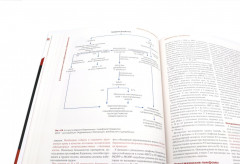 Клиническая онкогинекология. В 3 томах. Комплект из 3 книг - Фото 5