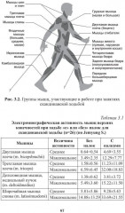Скандинавская и треккинговая ходьба в реабилитации и спортивной медицине - Фото 14