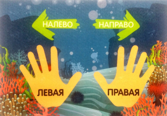 Игра развивающая «Лево-право»