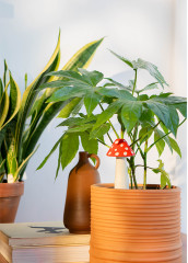 Фигурка с функцией полива для растений «Amanita» - Фото 4