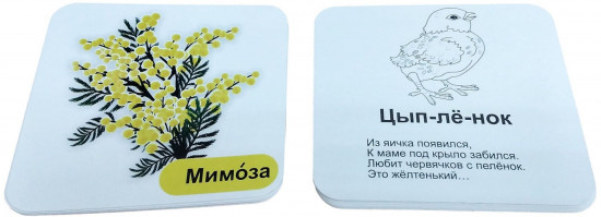 Комплект карточек «Звукобуквенные карточки для фонетического разбора»