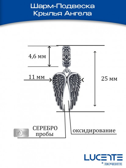Шарм из серебра