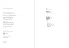 Chinese Dress in Detail - Фото 1