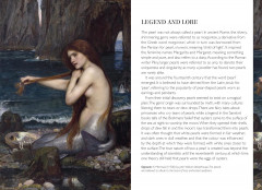 The Story of the Pearl - Фото 2