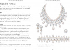 The Story of the Pearl - Фото 4