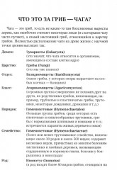 Чага: звездный час. Современные сведения об уникальном российском грибе - Фото 4