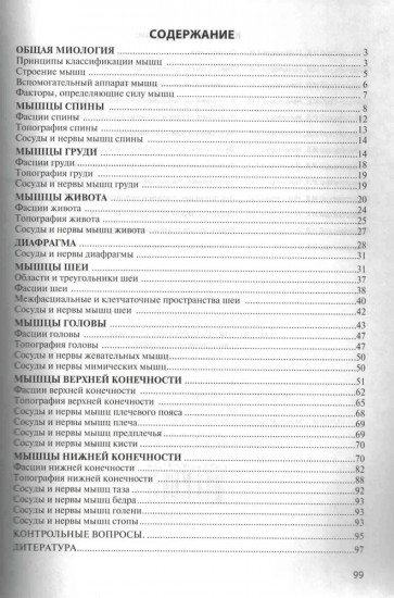 Анатомия мышечной системы (мышцы, фасции и топография)